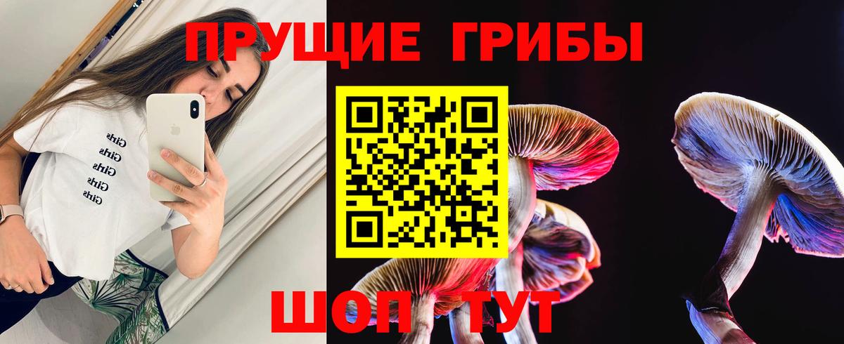 Чапаевск  Галлюциногенные грибы мицелий  Вход с VPN 